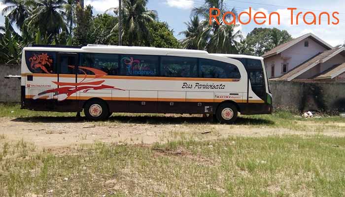Daftar Harga Sewa Bus Pariwisata di Jambi Murah Terbaru