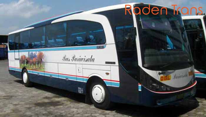 Daftar Harga Sewa Bus Pariwisata di Kupang Murah Terbaru