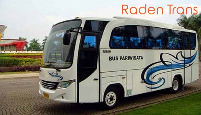 Daftar Harga Sewa Bus Pariwisata di Palu Murah Terbaru