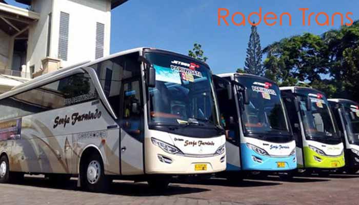Daftar Harga Sewa Bus Pariwisata di Jember Murah Terbaru